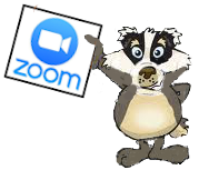 Badger Zoom