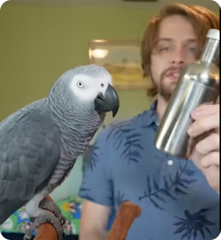 Parrot and Bottle